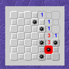 Minesweeper Variants